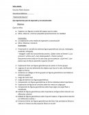 Figuras geometricas sala de 3