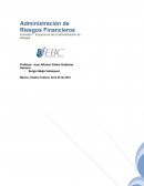 Importancia de la Administración de Riesgos.