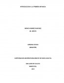 INTRODUCCIÓN A LA PRIMERA INFANCIA.