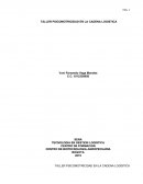 TALLER PSICOMOTRICIDAD EN LA CADENA LOGISTICA