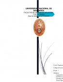 Área de Gestión de la Producción