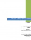 INFORME PRACTICAS VIRTUALES 1-4 TRANSFERENCIA MOMENTUM.