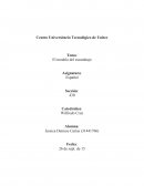 El modelo del escarabajo