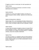 Resumen de la Historia del Algebra
