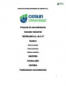 Proyecto de mercadotecnia Comedor industrial “NUTRILAND S.A. de C.V”