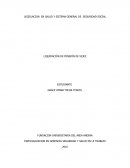 LIQUIDACION PENSIONAL POR VEJEZ.