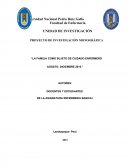 LA FAMILIA COMO SUJETO DE CUIDADO ENFERMERO