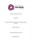 Pruebas de identificación de carbohidratos, lípidos y proteínas.