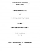 FUERZA AEREA ENSAYO DE PRESUPUESTO