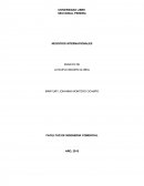 ENSAYO LA NUEVA IMAGEN GLOBAL