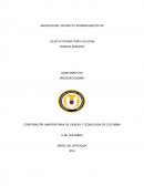 CORPORACIÓN UNIVERSITARIA DE CIENCIA Y TECNOLOGIA DE COLOMBIA