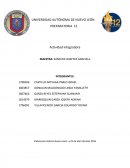 Actividad Integradora - español.