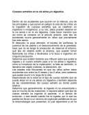 Cuerpos extraños en la vía aérea y/o digestiva.