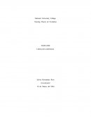 Lideres de la enfermeria