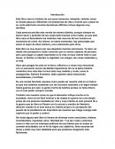 SINSAJO - Ensayo del libro