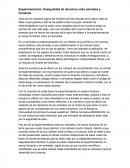 Ensayo: Desigualdad de derechos en la experimentacion de animales y seres humanos.