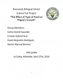 The Effect of Type of Food on Tilapia’s Growth