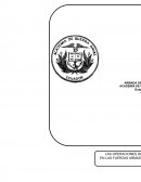 Ensayo operaciones informacion