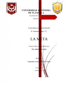 LA META CONSULTORIA ADMINISTRATIVA. Página 1