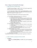 Origen de la filosofía (filosofía Griega)