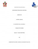 EL CONTEXTO DE LA ESCUELA.