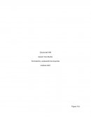 Formulación y evaluación de proyectos. Calculo del VAN