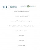 Laboratorio de cinceles