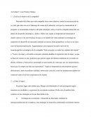 Caso Práctico Mango.