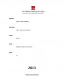 MÁQUINA LÚDICA DE GIMNASIO