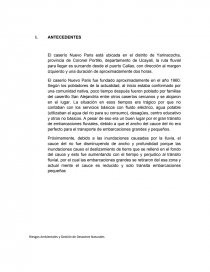 EVALUACION DE RIESGOS EN EL CASERIO NUEVO PARIS – YARINACOCHA. Página 2