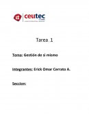 Ensayo - Gestión de si mismo.