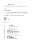 Compañía International Business Development