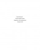 Control 6- control dignostico