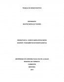 TRABAJO DE BIOESTADISTICA .