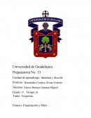 Ensayo- Enajenación y Marx