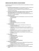 MODELO GUIA PARA ARMAR EL PLAN DE NEGOCIO.