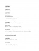 Guión de obra de teatro.