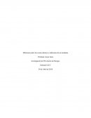 Tema: Investigación de prevención de riesgos.