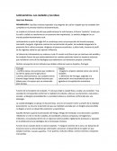 Las Ciudades Y Las Ideas - José Luis Romero (Resumen)