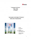 SEGUNDO INFORME TÉCNICO: ANÁLISIS FINANCIERO