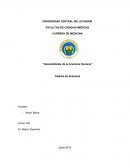 Generalidades de la Anatomía Humana.