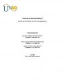 SISTEMAS DE GESTION AMBIENTAL .