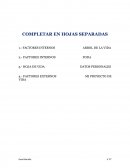 PROYECTO DE VIDA PARA II DE BACHILLERATO