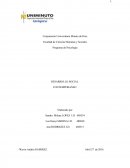 Infografia desarollo