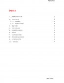 Informe de contenido de humedad.