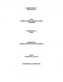 LABORATORIO N° 1 MICROSCOPIA