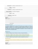 Parcial de Matematicas Financieras.