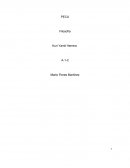 Ensayo Educacion Civica