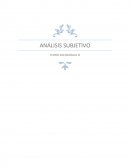 ANÁLISIS SUBJETIVO TEORÍA SOCIOLÓGICA III