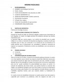 Informe de entrevista.